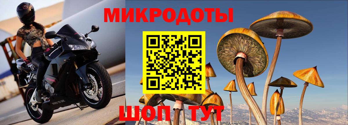 Белорецк  Галлюциногенные грибы Psilocybe  Вход с VPN  Галлюциногенные грибы прущие грибы 